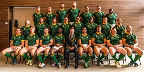 Springboks to face France during upcoming November Tests - SA People