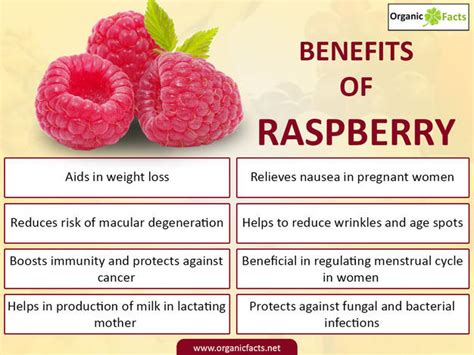 Health Benefits of Raspberries | Nikki Kuban Minton