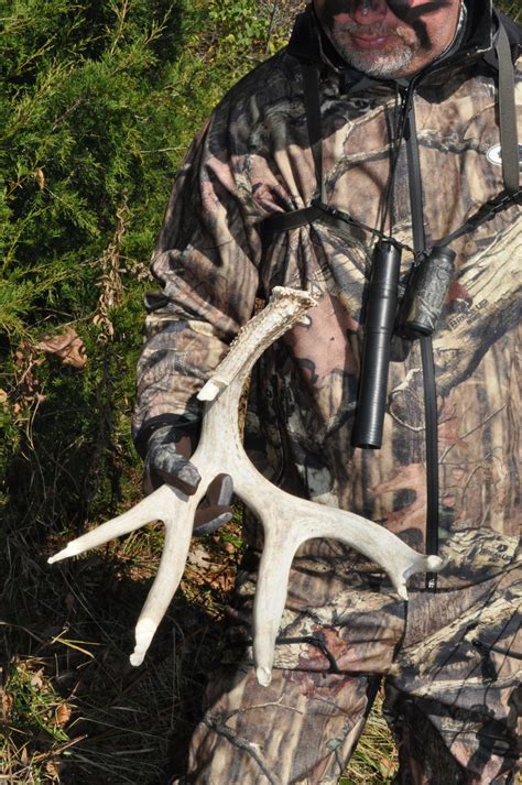 10 Reasons Why You Aren't Finding More Shed Antlers — The Hunting page