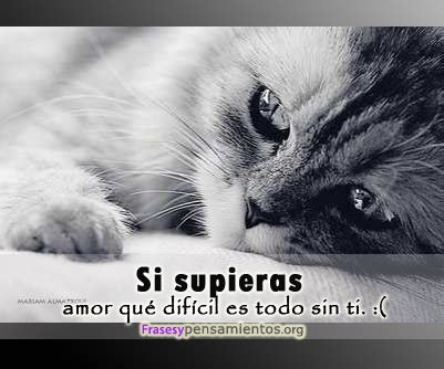 Imagenes de amor con frases tristes para hombres : Imagenes de amor con frases