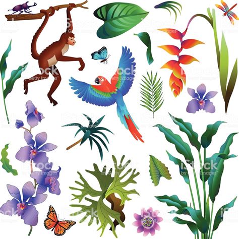 Amazon Rainforest Clip Art Clip Art Library - vrogue.co