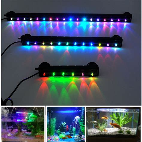 Aquarium Lighting - Why Do You Need Aquarium Led Lights http://aqualed.webstarts.com/ Many ...