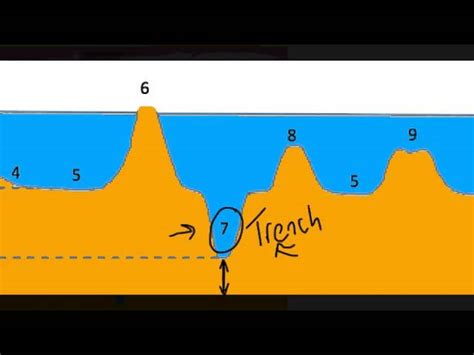 The Ocean Floor Diagram 5th Grade – Two Birds Home