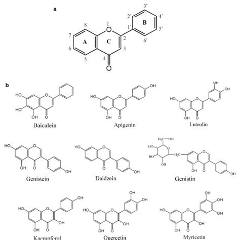 Effects of genistein (2.0 g/L) on a citrinin (CIT), biomass, and b... | Download Scientific Diagram