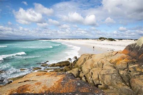 10 Best Tasmania Beaches | Beaches in the world, Southern beach, Tasmania