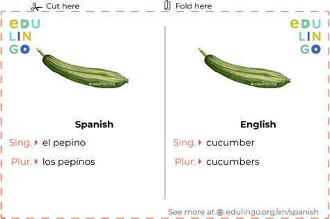 Cucumber in Spanish • Writing and pronunciation (with pictures)