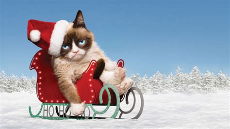 Christmas Cat Wallpaper (75+ images)