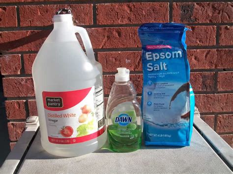 3-Ingredient Homemade Weed Killer - Weed Killer Spray Recipe