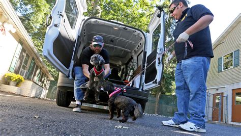 Claymont's K911 pioneers Delaware pet ambulance service