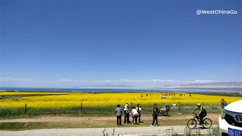 QingHai Lake Tour - China Tours @WestChinaGo