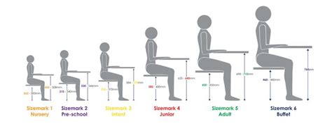 an image of a person sitting at a table with the height chart for each individual
