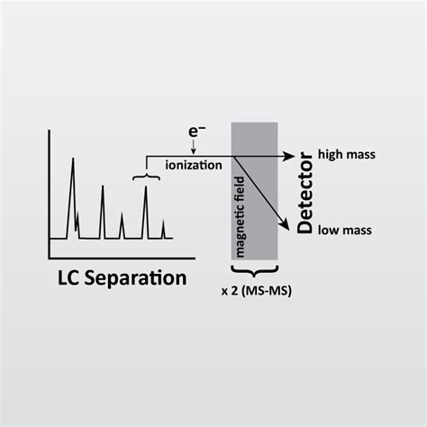 Liquid Chromatography Tandem Mass Spectrometry