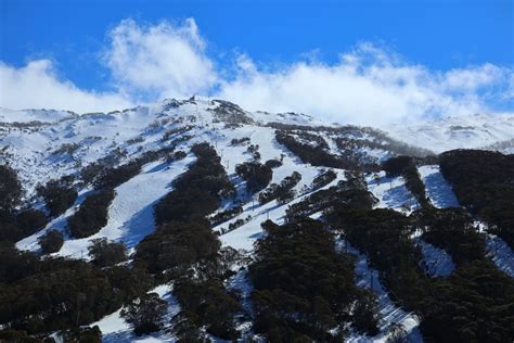 Cooma, Snowy Mountains Airport to Thredbo Bus Transfer Transport | Snowlink