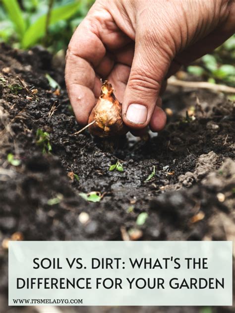 Soil vs. Dirt: What's the difference? - It's Me Lady G