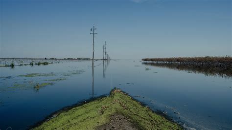 A Vast Lake Has Captivated California Where Farms Stood a Year Ago - The New York Times