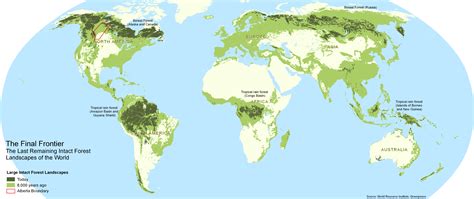 Old growth forests are increasingly rare. 80% of the world's original forests have already been ...