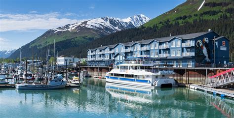 Top 5 Reasons to Visit Seward - Major Marine Tours