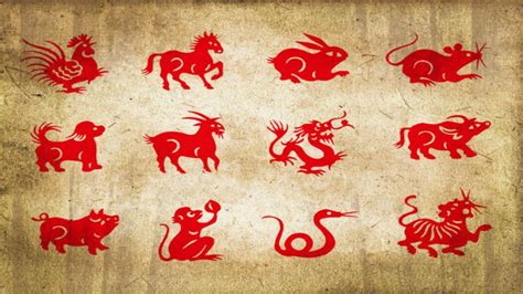 zodiac: zodiac signs spirit animals 2020