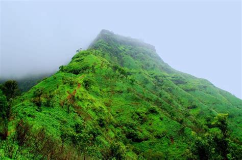 Rajgad Fort - a Soul of Trekking Empire. - Tripoto