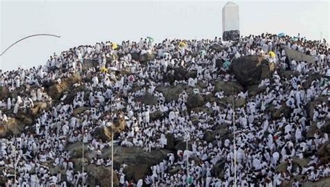 Foto-foto khusyuknya wukuf di Padang Arafah | Lukisan bunga, Gambar, Indonesia