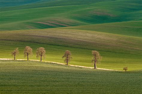 Visiting South Moravia: Europe's Best Kept Secret for Wine Lovers - Your Travel Flamingo