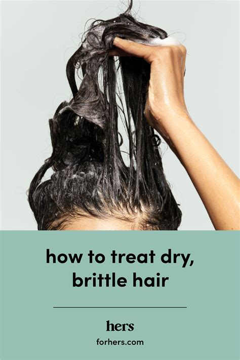 What causes dry brittle hair and how can you treat it – Artofit