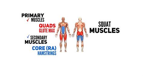 Front Squat Vs. Back Squat: How do they differ? | Symmetry Physical ...