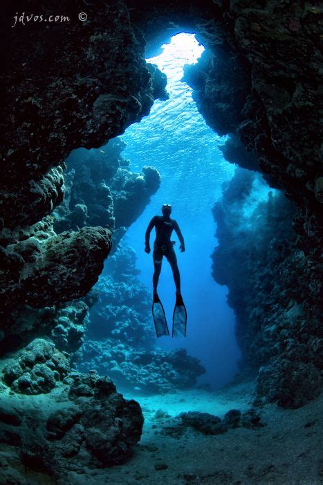 The 10 most inspiring Cave diving ideas