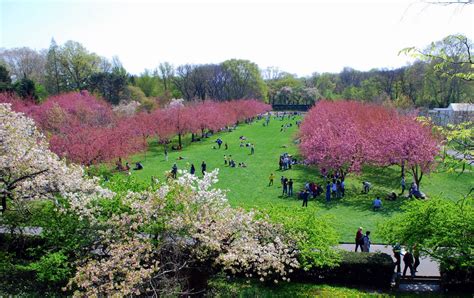 Brooklyn Botanic Garden, New York, USA - Traveldigg.com