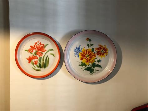 Vintage flower metal plates X 2, Hobbies & Toys, Memorabilia & Collectibles, Vintage ...