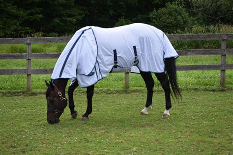 Product Review: Weatherbeeta Supa Fly Insect Shield Fly Sheet ...