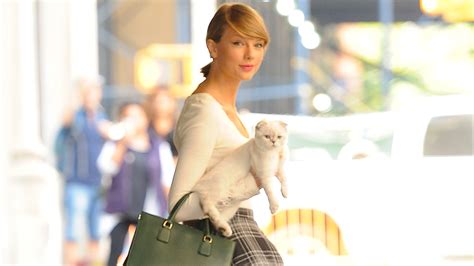 Le chat de Taylor Swift est-il vraiment millionnaire ? | Vanity Fair