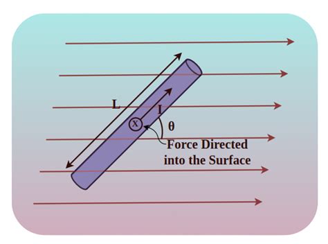 Magnetic Force Examples