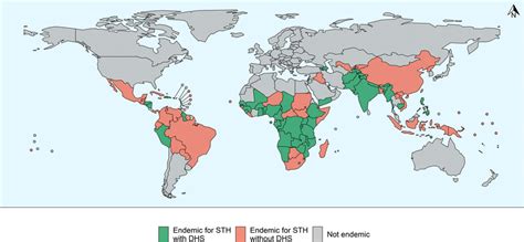 Map showing STH endemic countries, highlighting for which countries DHS... | Download Scientific ...