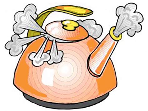 Kettle Boiling Steam Clip Art, PNG, 1200x902px, Kettle, Artwork, Beak ...