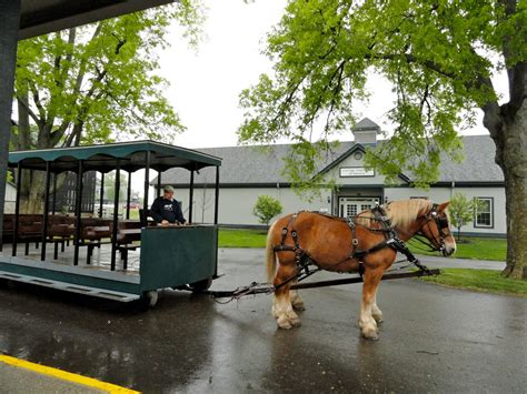 Travel On The Level: Lexington, KY: Start at the Horse Park