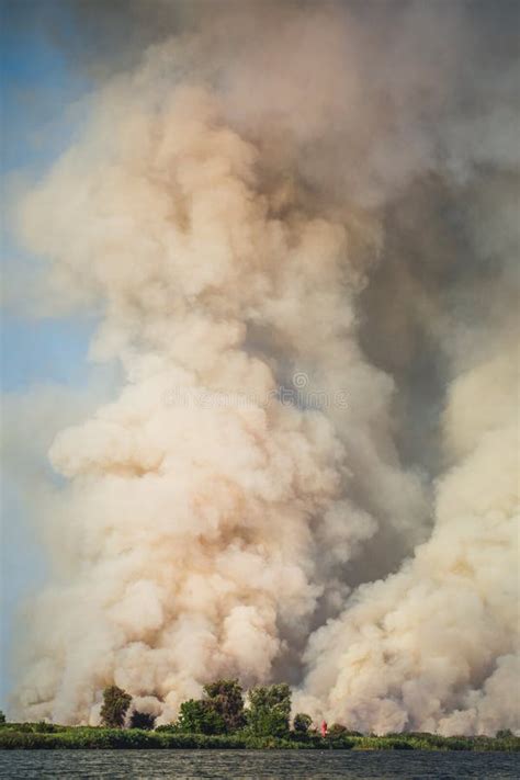 Large Clouds of Smoke, Fire in Nature Stock Image - Image of destruction, disaster: 201390955