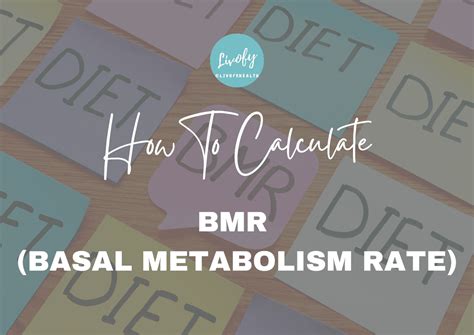 How to Calculate BMR - Meaning, Working, Formula & More | Livofy