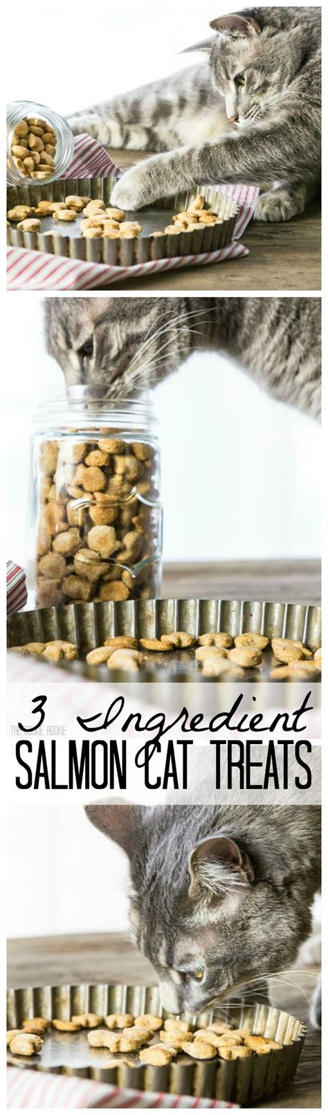 3 Ingredient Salmon Cat Treats | Cat treats homemade, Homemade cat treats recipes, Salmon cat