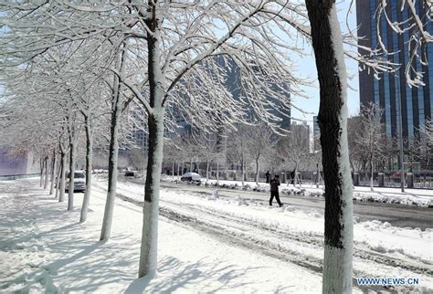 Snow scenery in NE China- China.org.cn