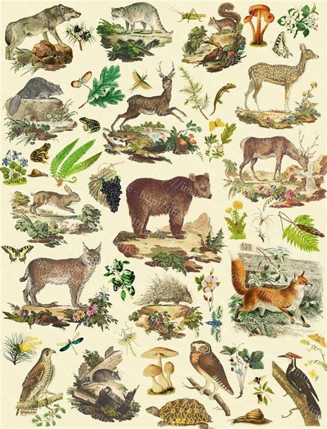 Forest Animals Scrapbooking Paper, Printable Junk Journal Collage Sheet - Etsy | Animal posters ...