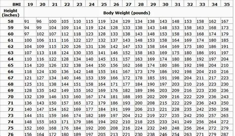 30 Army Weight and Tape | Example Document Template