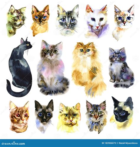 Set of Watercolor Cats. Isolated Cat. Hand Drawn Set Stock Image ...