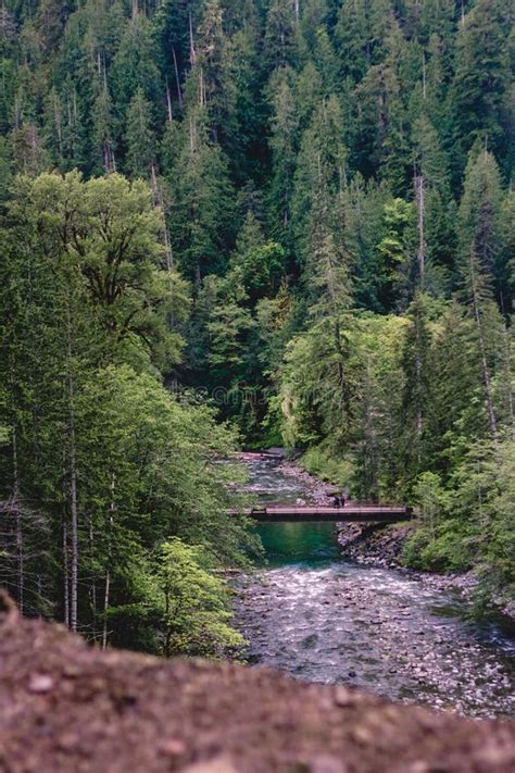 Hiking on the Olympic Peninsula Stock Image - Image of beautiful ...