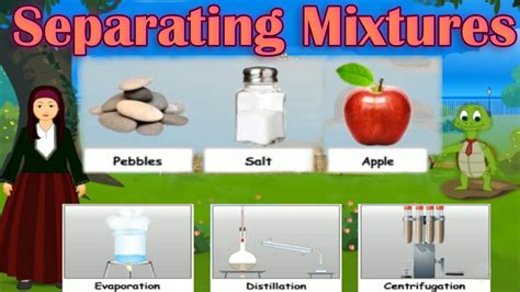 Separating Mixtures, Different Methods: Distillation, Evaporation ...