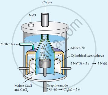 Describe the electrolysis of molten NaCl using inert electrodes ...