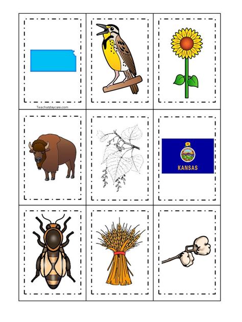 30 Kansas State Symbols Themed Learning Games Download. ZIP - Etsy