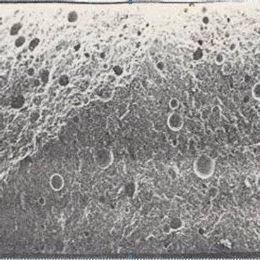 Microstructure of cement stone without additive a) zoom x45; b) zoom ...