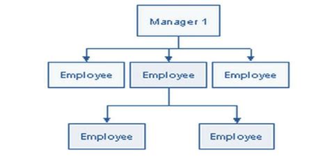 Span Of Control Diagram