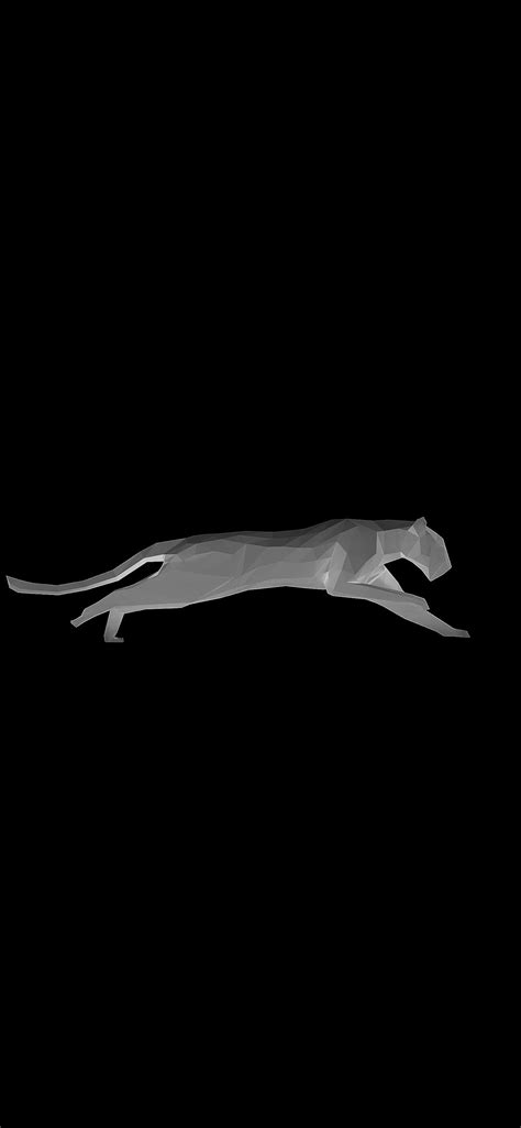 Black Puma Wallpapers - Wallpaper Cave